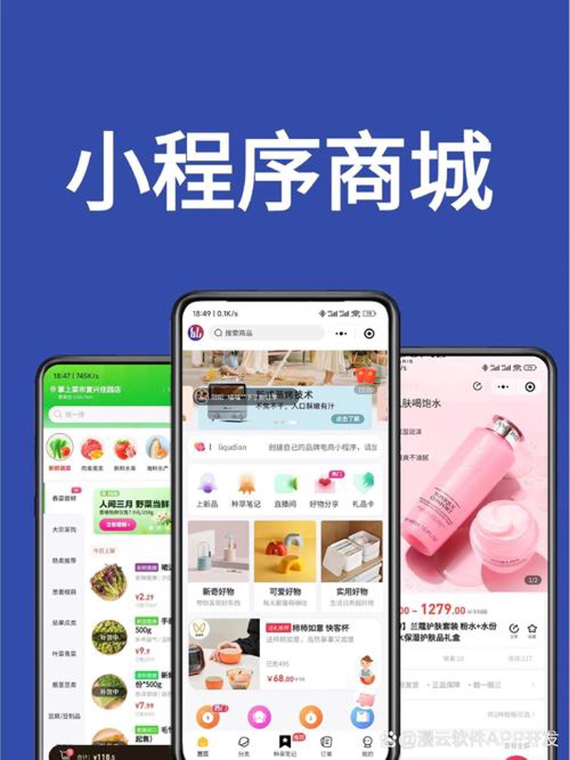 商城开发：轻松建立您的在线商铺