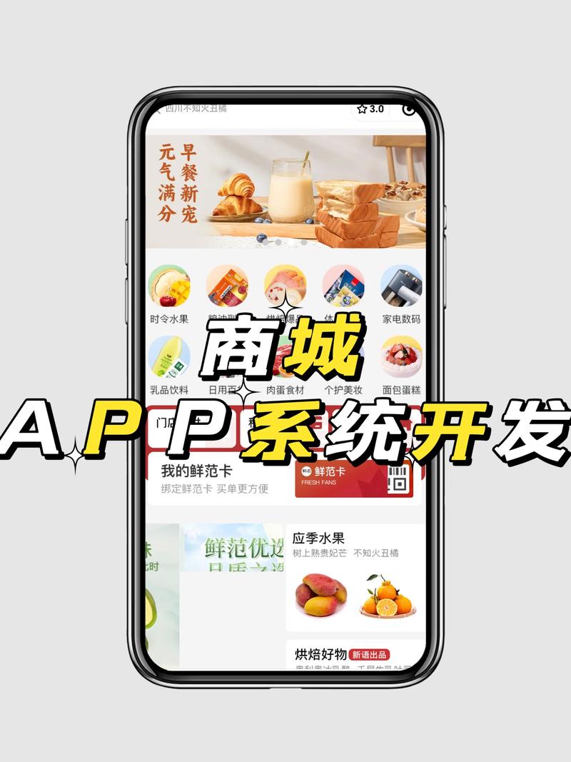 商城开发